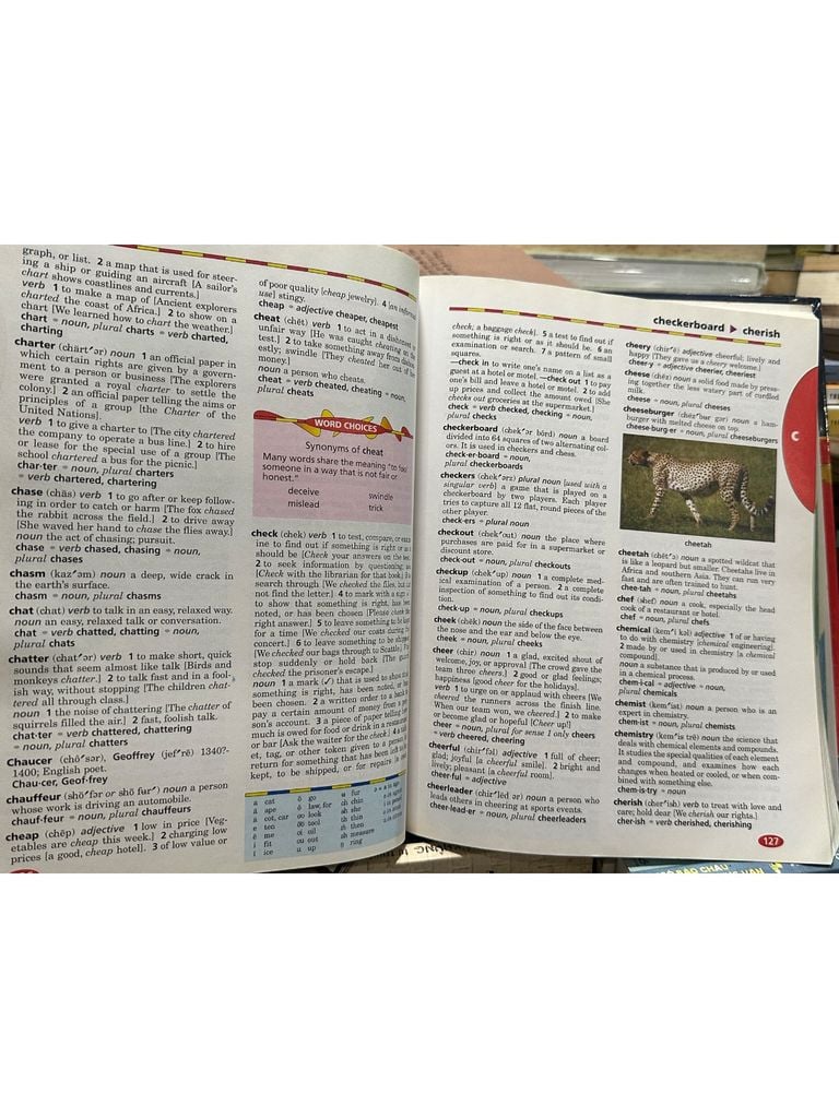  Webster'S New World : Children'S Dictionary 