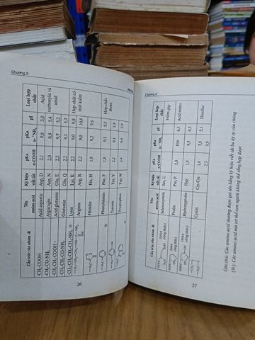  Hợp Chất Đại Phân Tử Polysaccarid, Protein – Nguyễn Kim Phi Phụng 