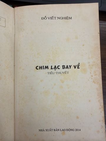  Chim Lạc Bay Về – Đỗ Viết Nghiệm 