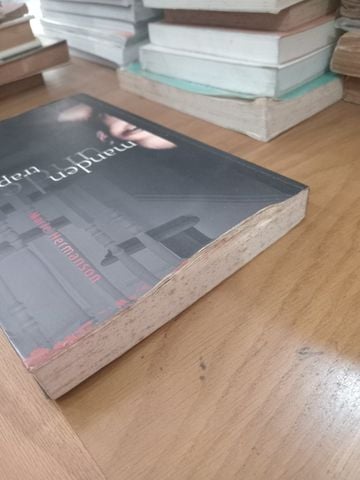 Manden Under Trappen – Marie Hermanson 