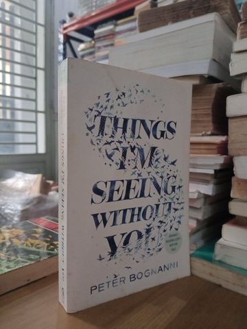  Things I'M Seeing Without You – Peter Bognanni 