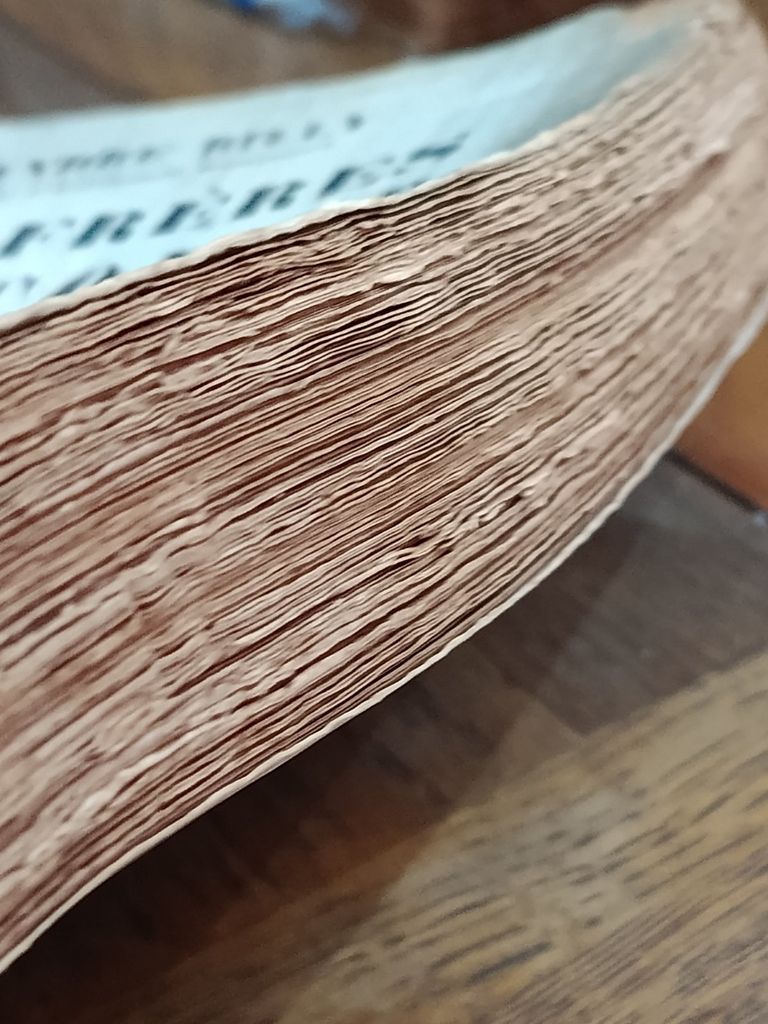  Les Frères Goncourt – André Billy 