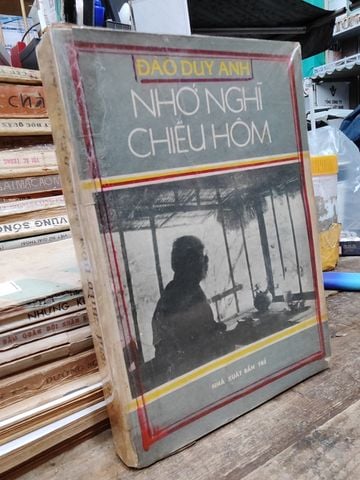  Nhớ Nghĩ Chiều Hôm – Đào Duy Anh 