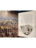  A Pocket Guide To : Rocks & Minerals 