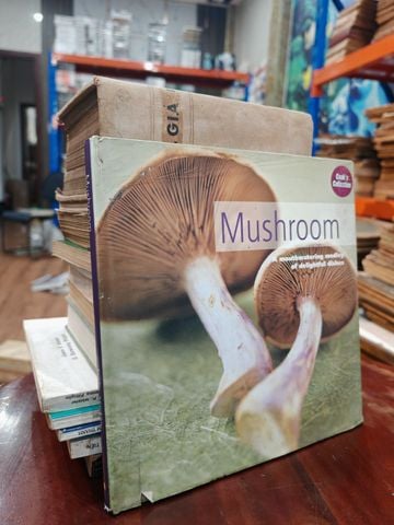  Mushroom 