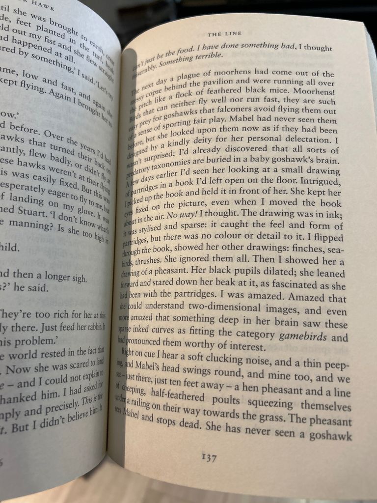  H Is For Hawk - Helen Macdonald 