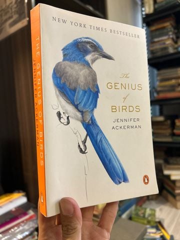  The Genius Of Birds - Jennifer Ackerman 
