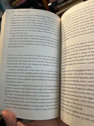  The Genius Of Birds - Jennifer Ackerman 