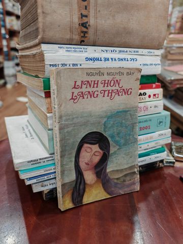  Linh Hồn Lang Thang – Nguyễn Nguyên Bảy 