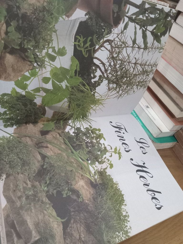 Le Grand Livre De Recettes: 700 Idées Pour Chaque Jour 