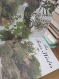  Le Grand Livre De Recettes: 700 Idées Pour Chaque Jour 