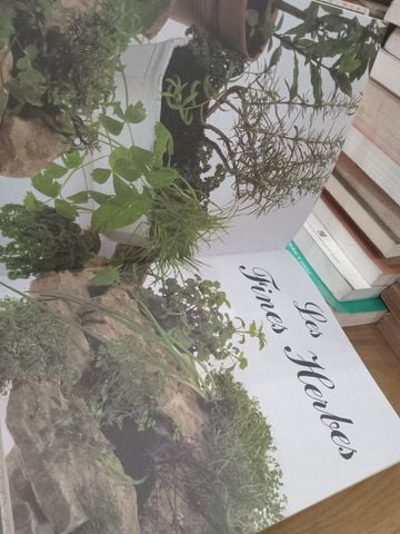  Le Grand Livre De Recettes: 700 Idées Pour Chaque Jour 