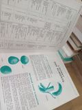  Cuisine Moderne Et Gastronomie: Encyclopédie Pratique 