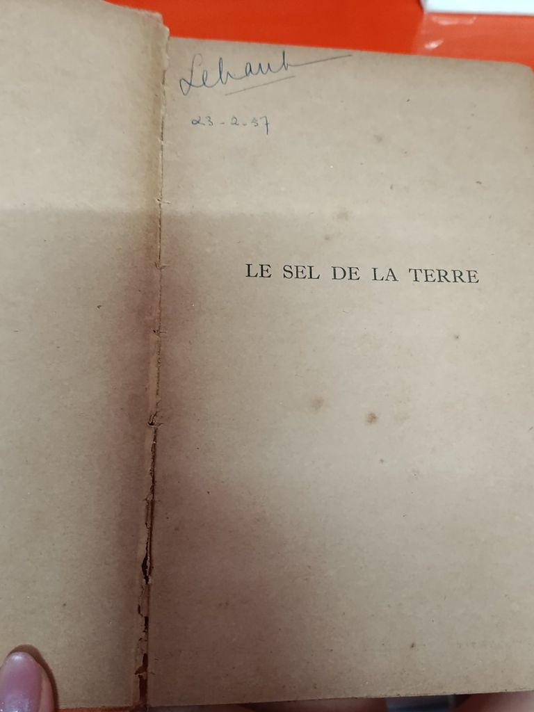  Le Sel De La Terre – Irving Stone 