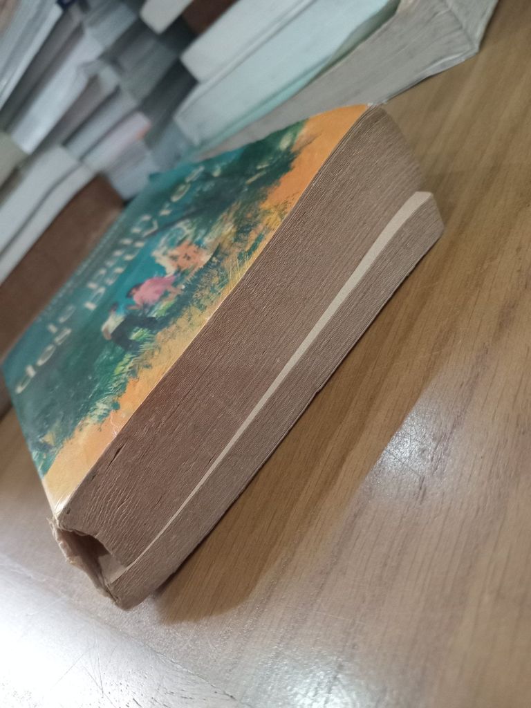  Le Pain Des Pauvres – Thyde Monnier 