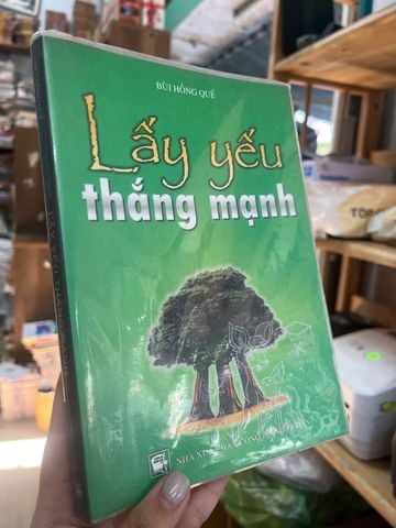  Lấy Yếu Thắng Mạnh – Bùi Hồng Quế 