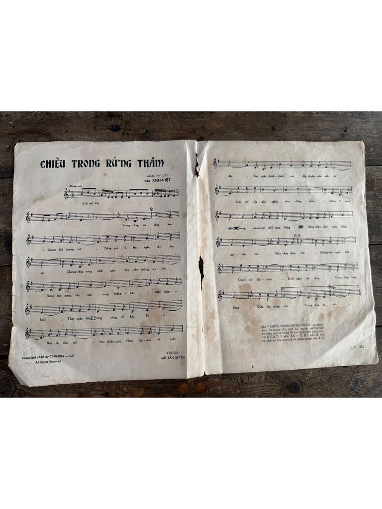  Chiều Trong Rừng Thẳm – Anh Việt 