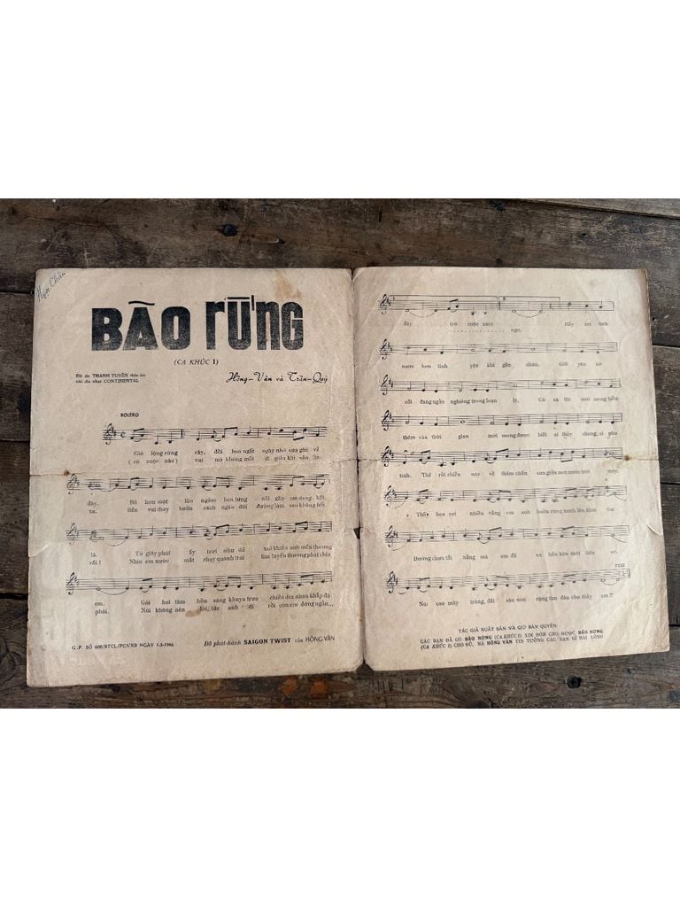  Bão Rừng – Hồng Vân Trần Quý 