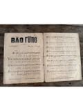  Bão Rừng – Hồng Vân Trần Quý 