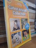  Cutest Animals Collection 