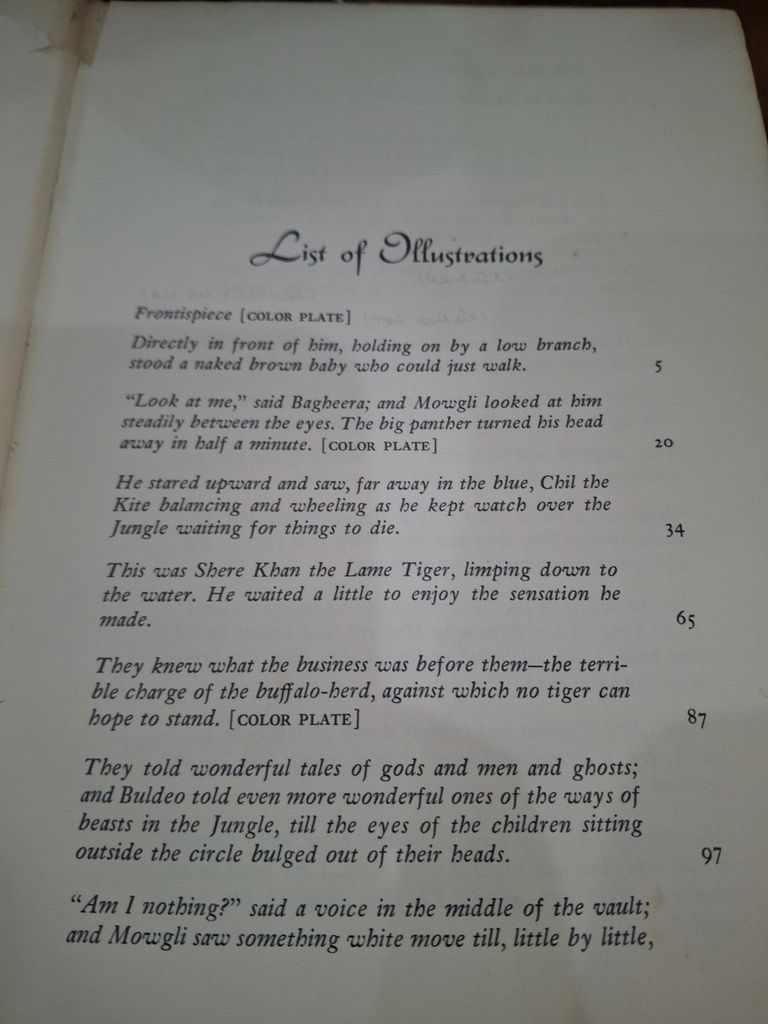  The Jungle Books – Rudyard Kipling 