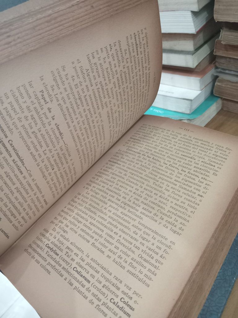  Lecciones De Botanica – Robledo 