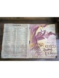  Chiều Trong Rừng Thẳm – Anh Việt 