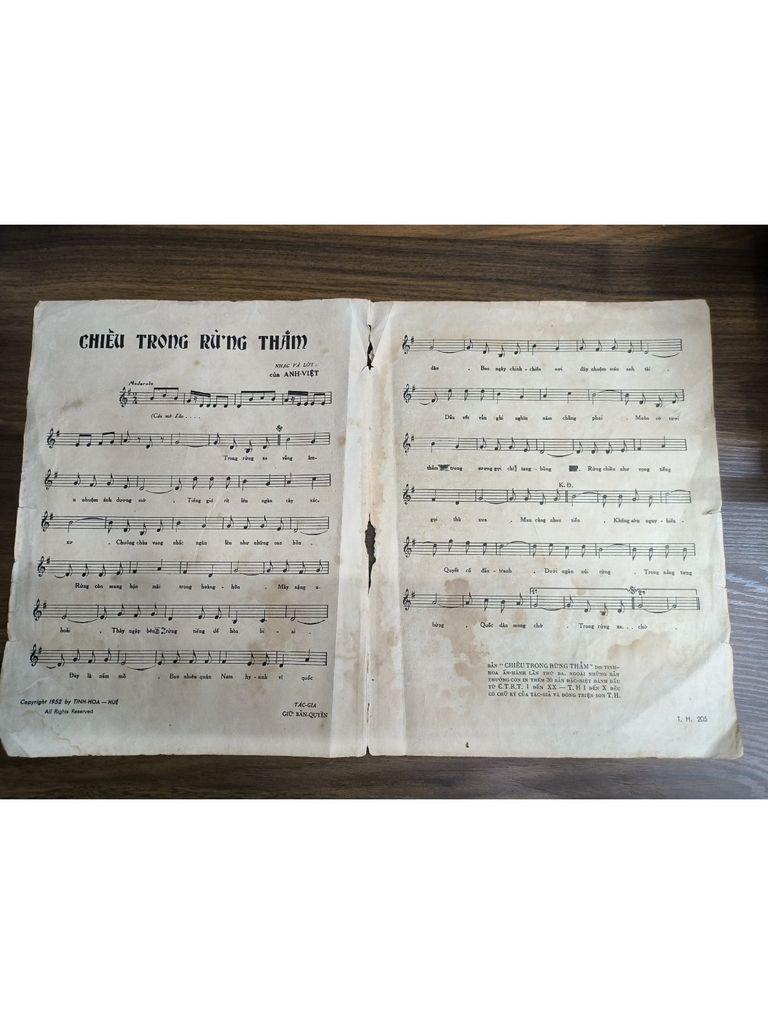  Chiều Trong Rừng Thẳm – Anh Việt 