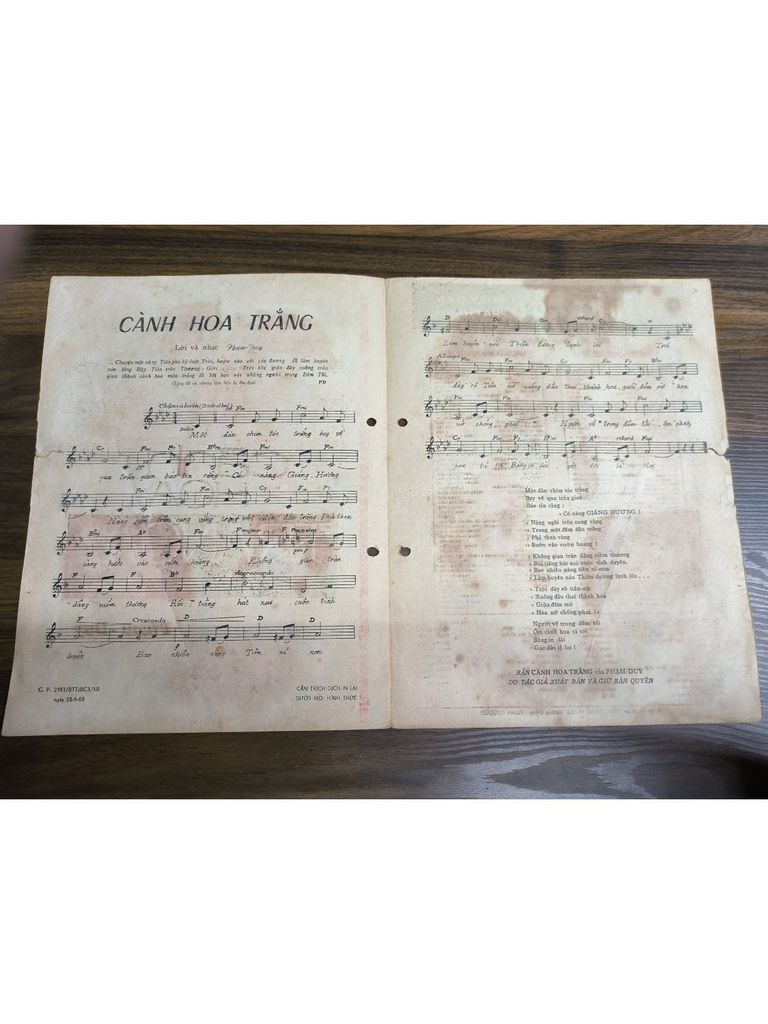  Cành Hoa Trắng – Phạm Duy 