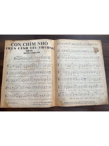  Con Chim Nhỏ Trên Cành Yêu Thương – Phạm Duy 