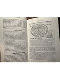  The China Study – T. Colin Campbell, Phd And Thomas M. Campbell Ii, Md 