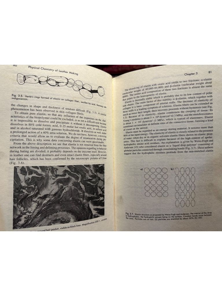  Physical Chemistry Of Leather Making 
