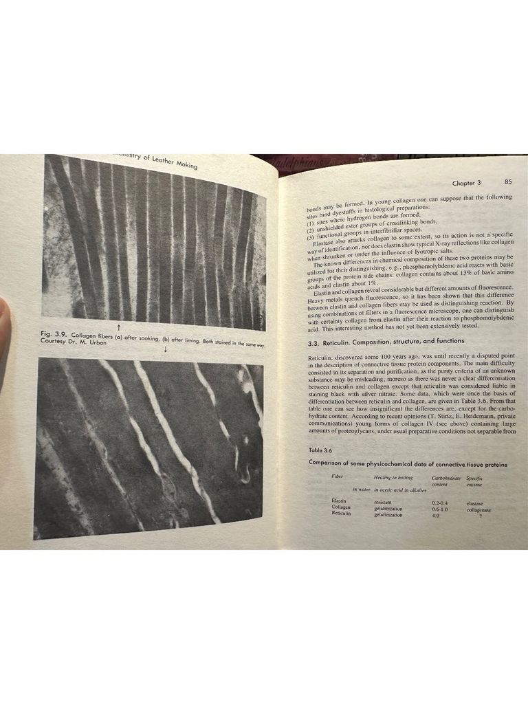 Physical Chemistry Of Leather Making 