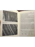  Physical Chemistry Of Leather Making 