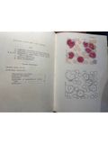  Atlas D'Hematologie 