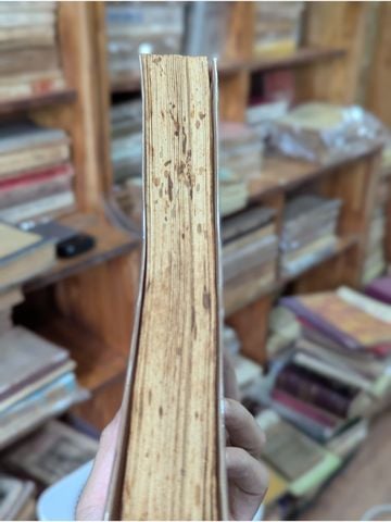  Điên Hay Tích Lạ – Nguyễn Tử Quang 