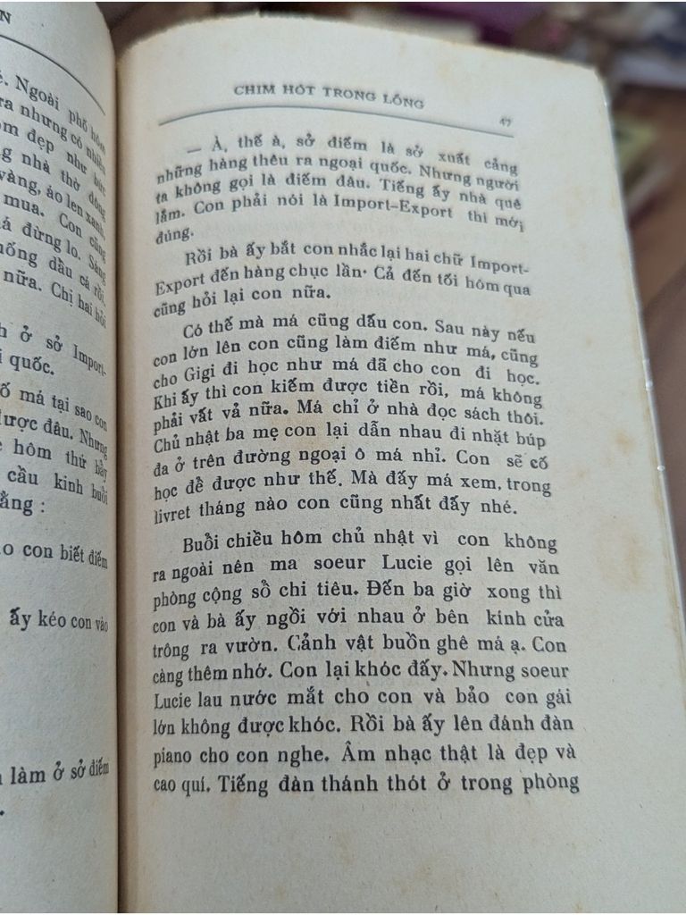  Chim Hót Trong Lồng – Nhật Tiến 