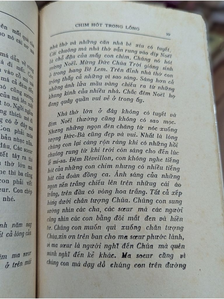  Chim Hót Trong Lồng – Nhật Tiến 