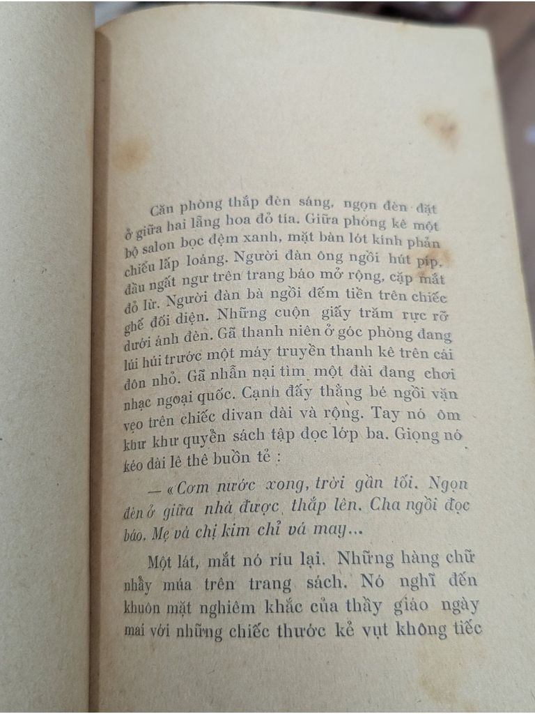  Ánh Sáng Công Viên – Nhật Tiến 