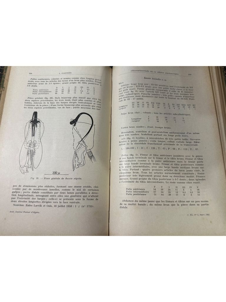  Archives De L’institut Pasteur D’algérie 