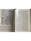  Human Neuroanatomy – Raymond C. Truex, Malcolm B. Carpenter 