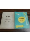  España Cañi – Nhạc P. Marquina, Lời Hoàng Bảo Ngọc 