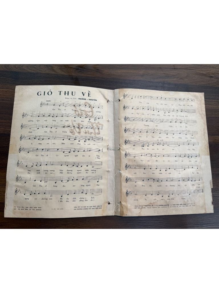  Gió Thu Về – Hoàng Nguyên 