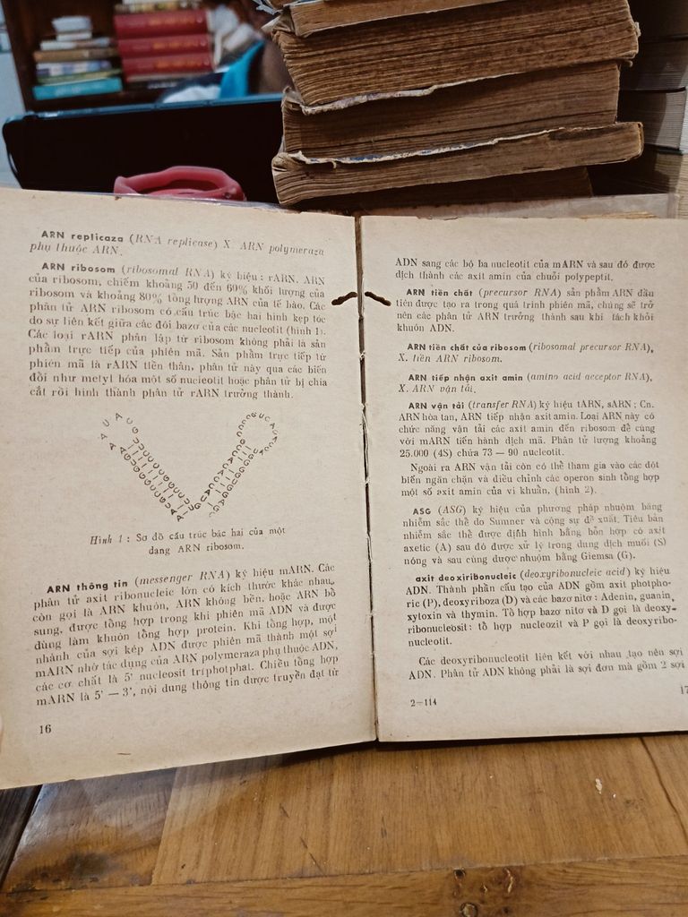  Từ Điển Di Truyền Y Học 