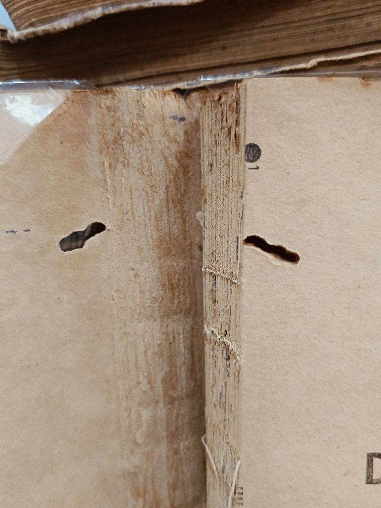  Từ Điển Di Truyền Y Học 
