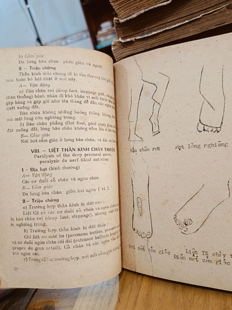  Chấn Thương Đại Cương – Bs. Bùi Văn Đức 