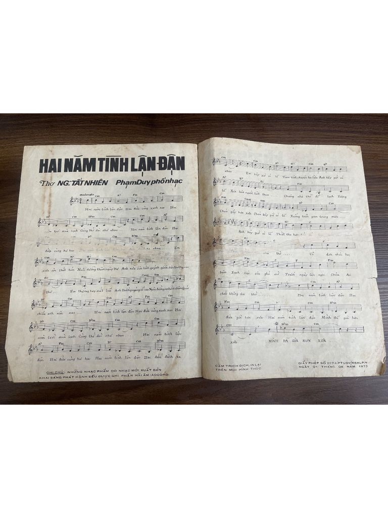  Hai Năm Tình Lận Đận – Ng. Tấn Nhiên 
