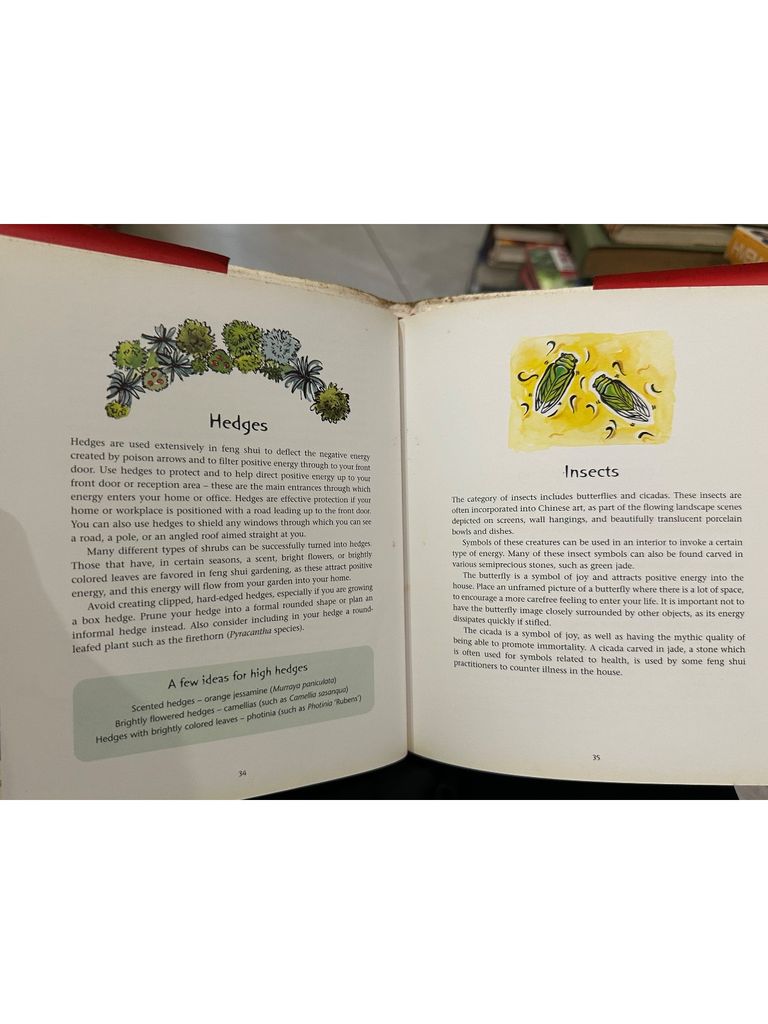  Feng Shui Cures – Antonia Beattie 