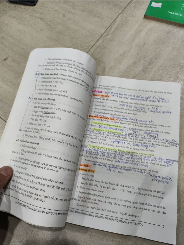  Hướng Dẫn Chẩn Đoán Và Điều Trị Một Số Bệnh Lý Huyết Học 