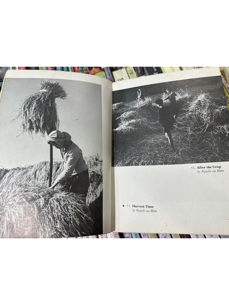  Vietnam Our Beloved Land – Nguyễn Cao Đàm, Trần Cao Lĩnh 
